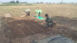 Babinsa Tanjunganom Dampingi Petani Lakukan Penyemaian Benih Padi
