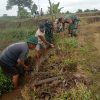 Babinsa dan Warga Desa Kuncir Gelar Karya Bakti Bersihkan Saluran Irigasi