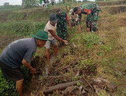 Babinsa dan Warga Desa Kuncir Gelar Karya Bakti Bersihkan Saluran Irigasi