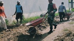 Untuk menunjang Aktifitas Masyarakat Babinsa Desa Mlorah Kerja Bakti Pengurukan Jalan untuk Pemasangan Paving