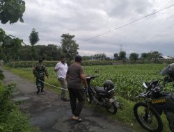Danramil dan Babinsa Cek Lokasi Lahan untuk Pembangunan Koperasi Desa/Kelurahan Merah Putih (KDKMP)