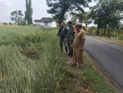 Babinsa Prambon Dampingi Penetapan Lahan Koperasi Merah Putih