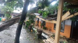 Atap Kantor Kelurahan Warujayeng Roboh Ditimpa Pohon Tumbang Akibat Hujan Disertai Angin Kencang