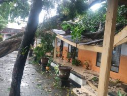 Atap Kantor Kelurahan Warujayeng Roboh Ditimpa Pohon Tumbang Akibat Hujan Disertai Angin Kencang