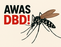 Kasus DBD di Jombang Meningkat Tajam, 129 Warga Terinfeksi dalam Enam Pekan