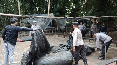 Polres Ngronggot Bongkar Arena Sabung Ayam Ilegal, Ternyata Kosong Melompong