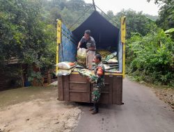 BABINSA DESA NGETOS LAKSANAKAN PENDAMPINGAN PENYALURAN BANTUAN BENIH JAGUNG UNTUK PETANI