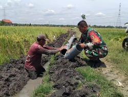 Babinsa Kedungsoko Bantu Petani Pasang Instalasi Pipa Air Sumur Dalam