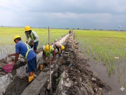 Warga Desa Jetis Semringah, Saluran Irigasi Baru Terwujud Berkat Inpres Prabowo Subianto