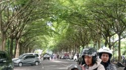 Lonjakan Wisatawan Padati Kawasan SLG Selama Libur Nataru