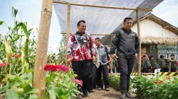 Festival Petani Kalcer Digelar Dua Hari di Klanderan Plosoklaten, Warga Antusias Hadiri Acara