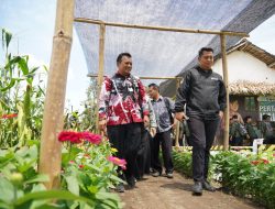 Festival Petani Kalcer Digelar Dua Hari di Klanderan Plosoklaten, Warga Antusias Hadiri Acara