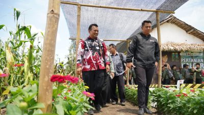 Festival Petani Kalcer Digelar Dua Hari di Klanderan Plosoklaten, Warga Antusias Hadiri Acara