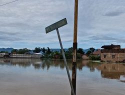 Banjir Terjang Ponorogo, Ratusan Hektare Sawah Terendam dan Terancam Gagal Panen