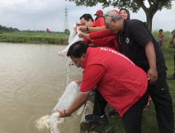 Merawat Pertiwi, Menjaga Kehidupan: PDIP Nganjuk Rayakan HUT Ibu Mega dengan Tanam Pohon hingga Tebar Benih Ikan