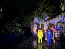 Hujan Disertai Angin Kencang di Ponggok, Dua Desa di Blitar Terdampak Pohon Tumbang