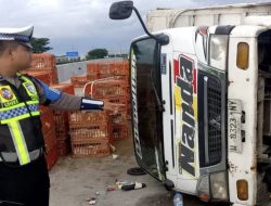 Diduga Sopir Mengantuk, Truk Muatan Ayam Terguling di Tol Nganjuk–Kertosono