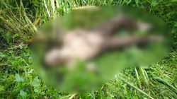 Jenazah Pria Misterius Ditemukan di Alas Coban Manan Pujon Kidul, Polisi Lakukan Penyelidikan