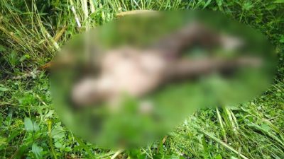 Jenazah Pria Misterius Ditemukan di Alas Coban Manan Pujon Kidul, Polisi Lakukan Penyelidikan