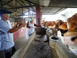 Cegah Penyakit Ternak di Musim Penghujan, DKPP Kediri Tekankan Kebersihan Kandang