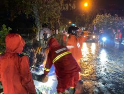 Diguyur Hujan Lebat Berjam-jam, Empat Titik di Tulungagung Dilanda Pohon Tumbang