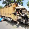 Diduga Sopir Mengantuk, Truk Bermuatan Benih Tebu di Kediri Hantam Pohon hingga Ringsek