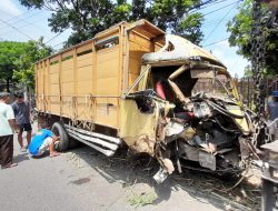 Diduga Sopir Mengantuk, Truk Bermuatan Benih Tebu di Kediri Hantam Pohon hingga Ringsek