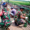 Tahap Finishing Dimulai, Babinsa Turun Langsung Percantik Jembatan Cable Statis Perintis Garuda Tahap II