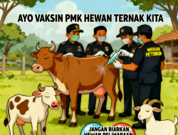 Jangan Sampai Ternak Anda Terserang, Dispertan Nganjuk Siapkan 7500 Dosis Vaksin PMK