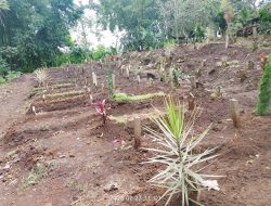 Puluhan Makam di TPU Cembo Giripurno Dirusak, Kasun Sumber Sari Sesalkan Pelaku Belum Minta Maaf