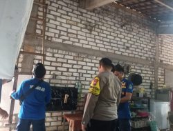 Ular Sanca 2 Meter Masuk Rumah, Polsek Brondong Lamongan Bergerak Cepat