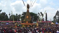Produksi Durian Turun karena Cuaca, Kenduri Durian Wonosalam 2026 di Kabupaten Jombang Resmi Dibatalkan