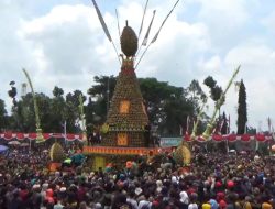 Produksi Durian Turun karena Cuaca, Kenduri Durian Wonosalam 2026 di Kabupaten Jombang Resmi Dibatalkan