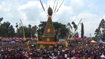 Produksi Durian Turun karena Cuaca, Kenduri Durian Wonosalam 2026 di Kabupaten Jombang Resmi Dibatalkan