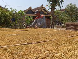 DBHCHT Ponorogo 2026 Anjlok Lebih dari 50 Persen, Ini Rincian Alokasi Anggarannya