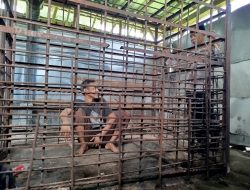 Sepanjang 2025, Ponorogo Catat Ribuan ODGJ Berat, Dua Masih Terpasung