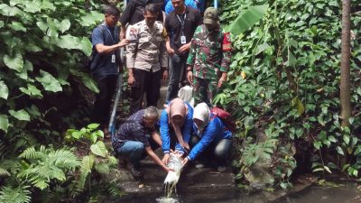 Tebar 500 Bibit Ikan Nila di Sumber Cakarsi, Sinergi Mahasiswa KKN dan Tiga Pilar Dukung Ketahanan Pangan