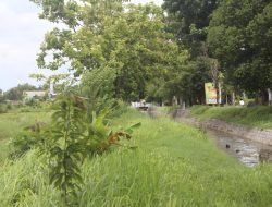 Rp 22 Miliar Aset Pemda Jombang Tertimbun Ilalang, Antara Rencana dan Keterbatasan Anggaran