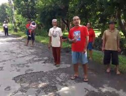 Jalan Rusak Menahun, Warga Ancam Tanam Pisang Jika Tidak Segera Diperbaiki