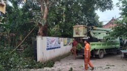Dinas LH Nganjuk Pangkas Pohon Mangga Berpotensi Bahaya di Sekretariat PWI
