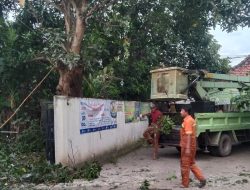 Dinas LH Nganjuk Pangkas Pohon Mangga Berpotensi Bahaya di Sekretariat PWI