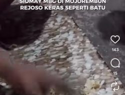 Viral..! Siomay MBG Nganjuk Keras Seperti Batu, Warganet: “Perjuangan Arepe Mangan'”
