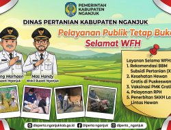 WFH Tak Jadi Hambatan, Dinas Pertanian Nganjuk Siapkan Lima Layanan Utama untuk Jaga Produktivitas Pangan