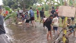 Protes Keras Jalan Rusak, Warga Ngronggot Tanam Pisang dan Tebar Lele