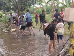 Protes Keras Jalan Rusak, Warga Ngronggot Tanam Pisang dan Tebar Lele